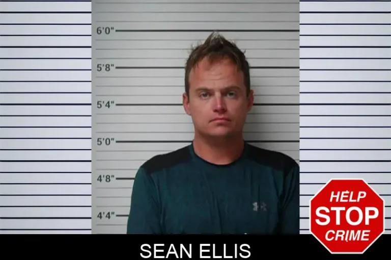 Sean Ellis