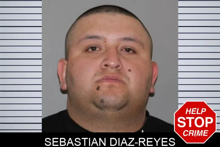 Sebastian Diaz-Reyes