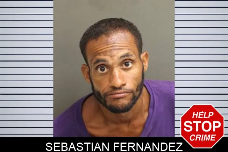 Sebastian Fernandez