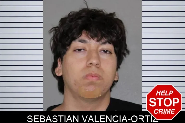 Sebastian Valencia-Ortiz