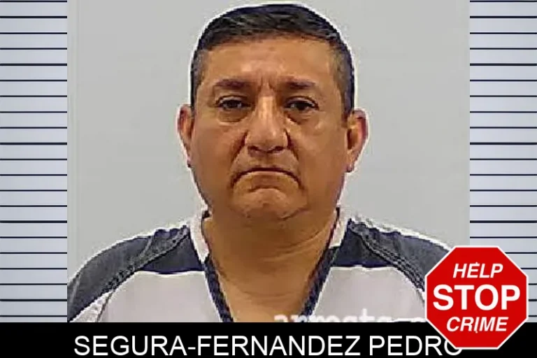 Segura-Fernandez Pedro