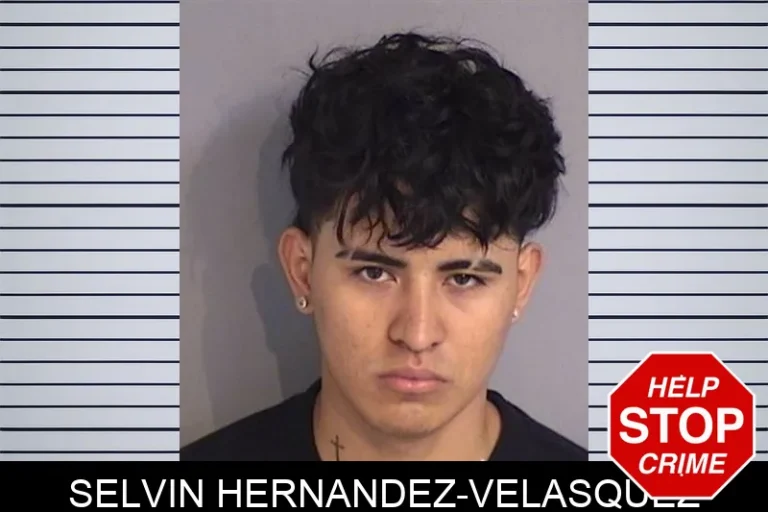 Selvin Hernandez-Velasquez