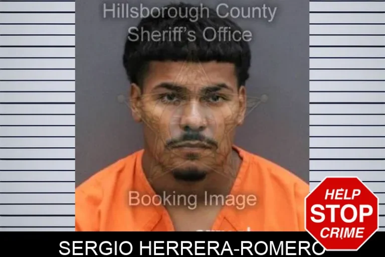 Sergio Herrera-Romero