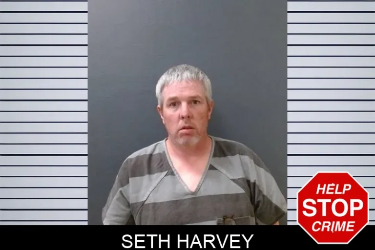 Seth Harvey