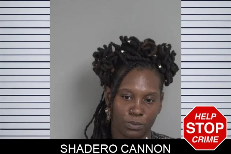 Shadero Cannon