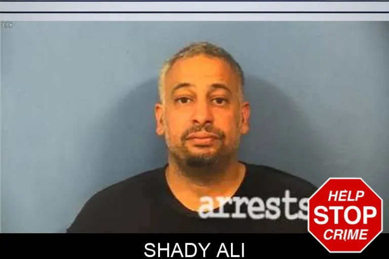 Shady Ali