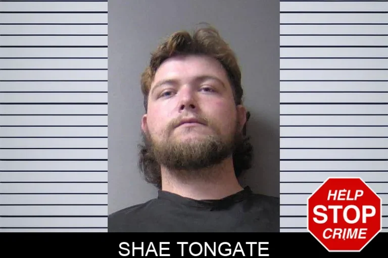 Shae Tongate
