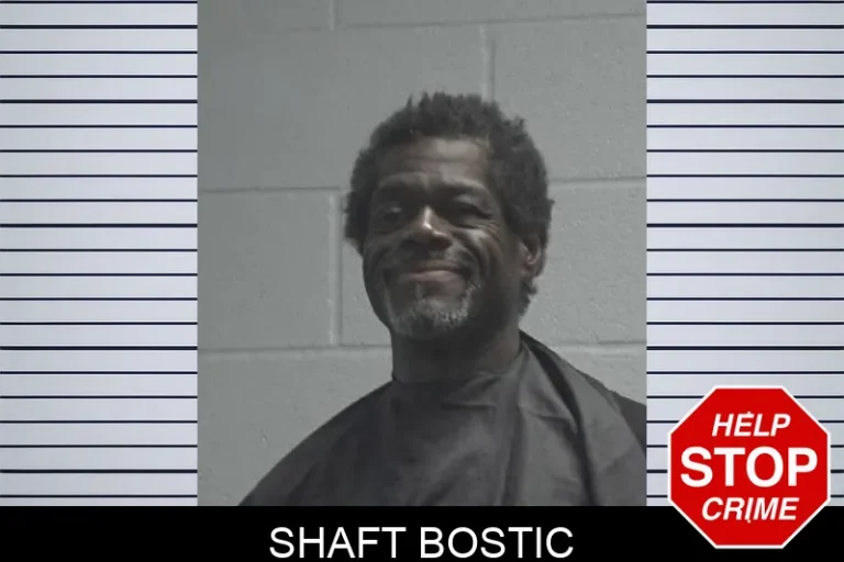 Shaft Bostic