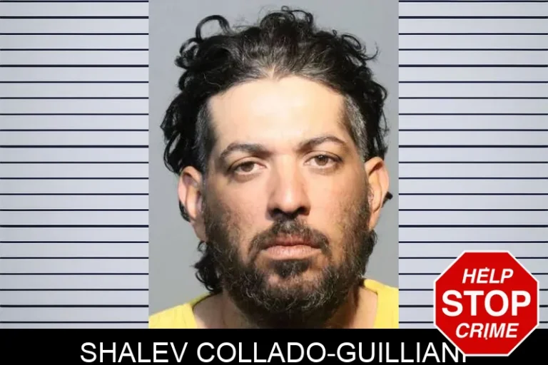 Shalev Collado-Guilliani