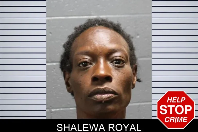 Shalewa Royal