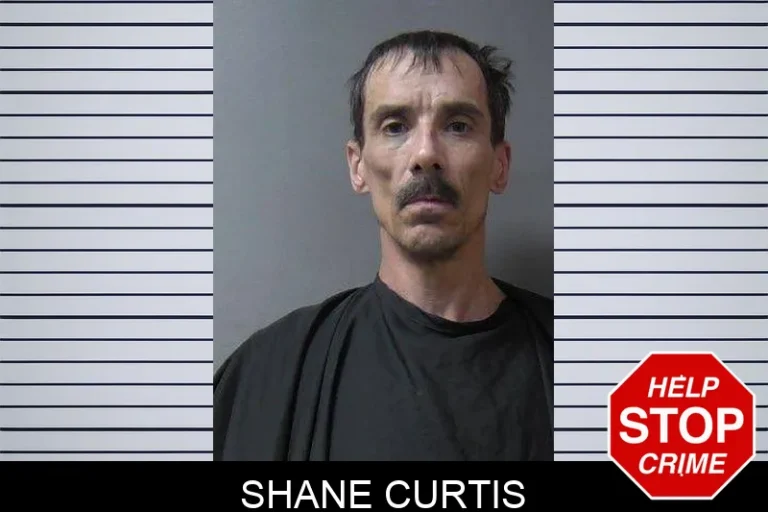Shane Curtis