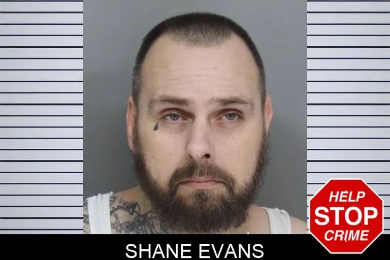 Shane Evans