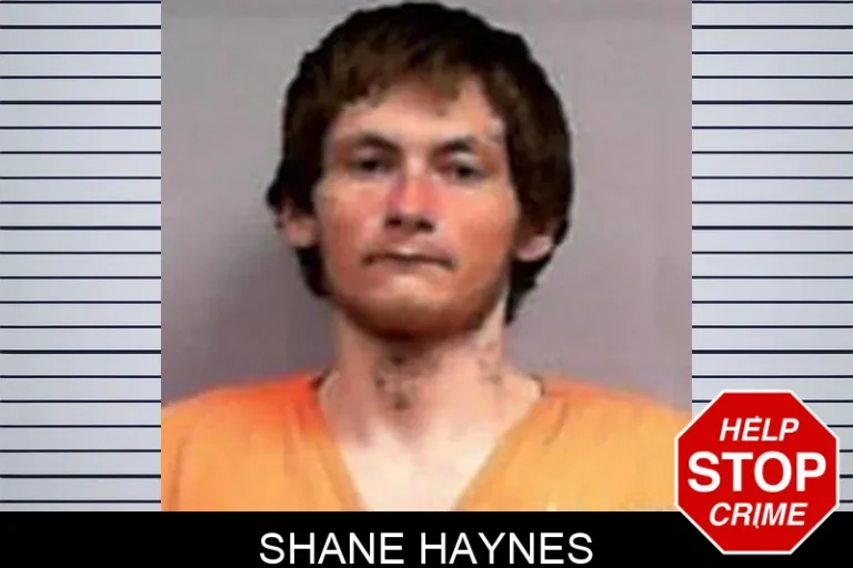 Shane Haynes