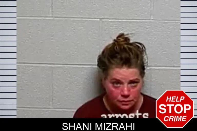 Shani Mizrahi