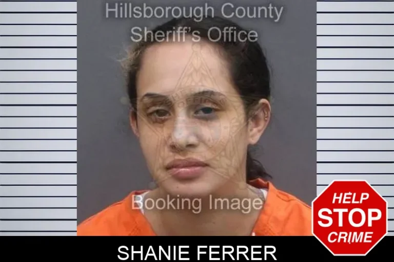 Shanie Ferrer