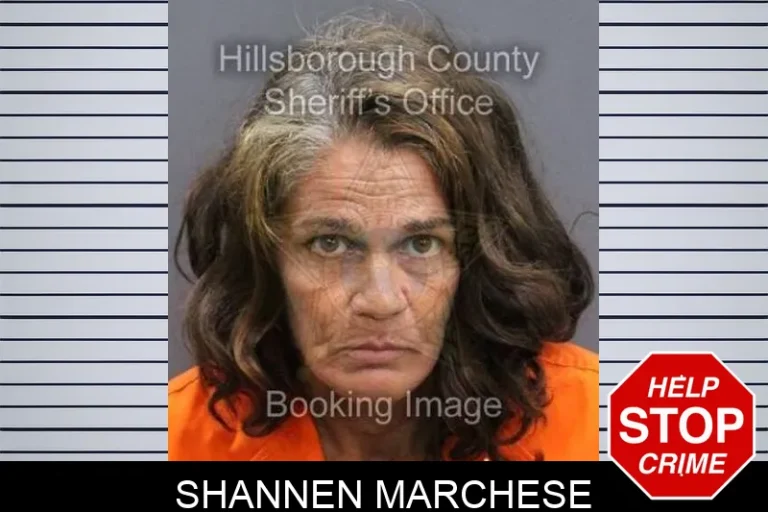 Shannen Marchese