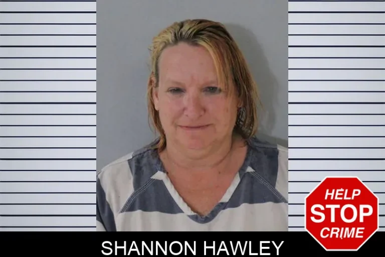Shannon Hawley