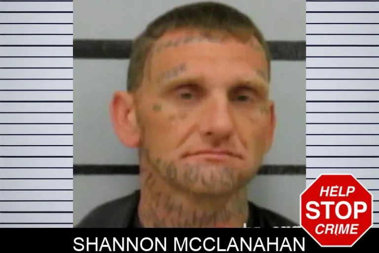 Shannon McClanahan