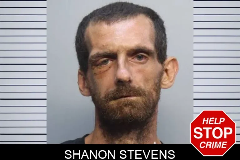 Shanon Stevens