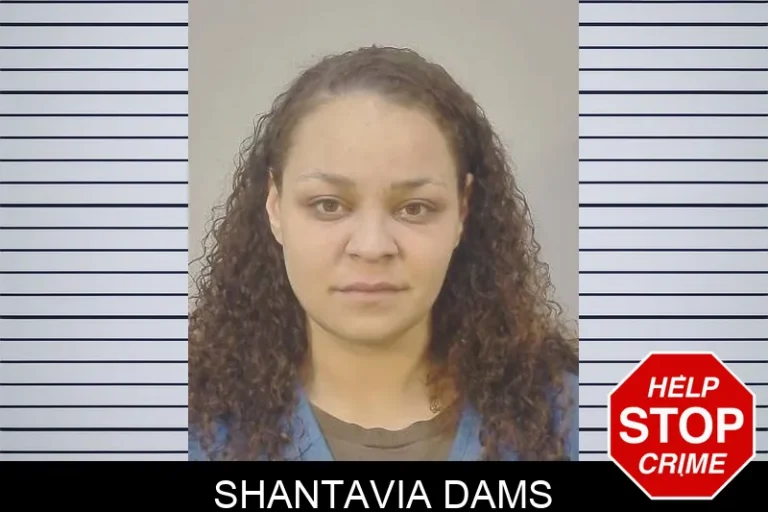 Shantavia Dams