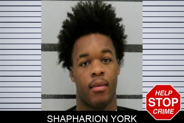 Shapharion York