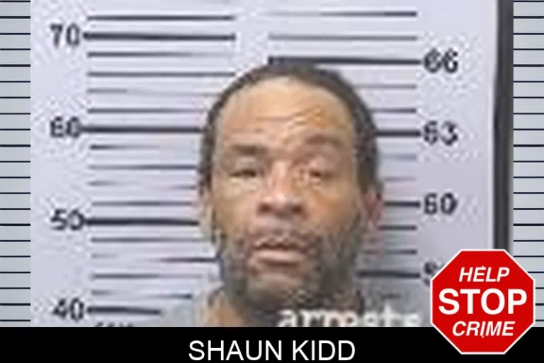 Shaun Kidd