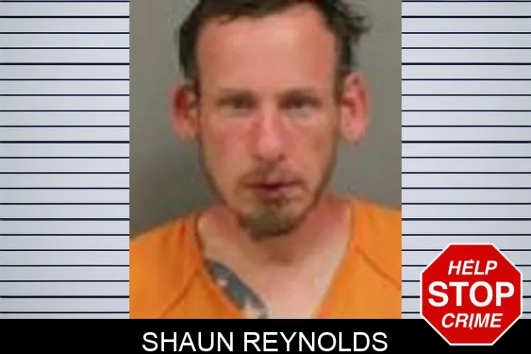 Shaun Reynolds