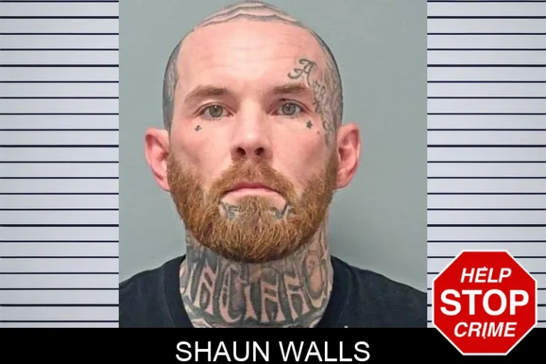 Shaun Walls