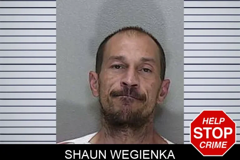 Shaun Wegienka