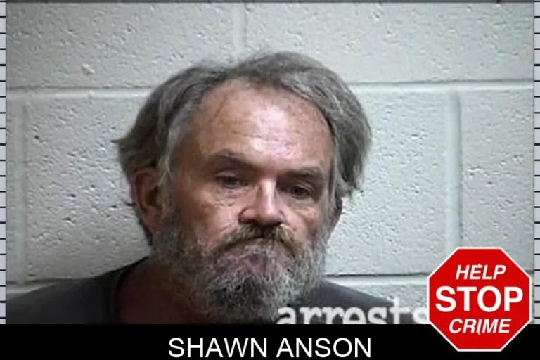 Shawn Anson
