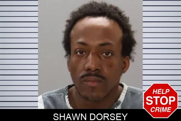 Shawn Dorsey