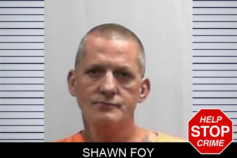 Shawn Foy