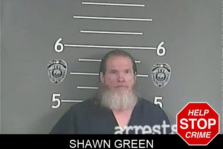 Shawn Green