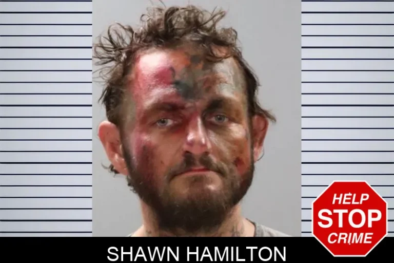 Shawn Hamilton