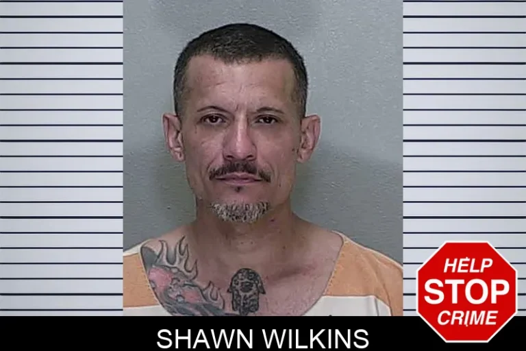 Shawn Wilkins