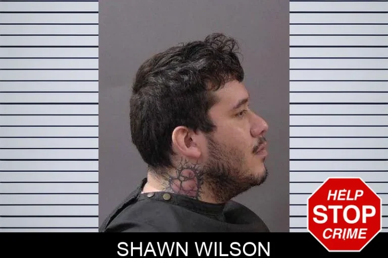 Shawn Wilson