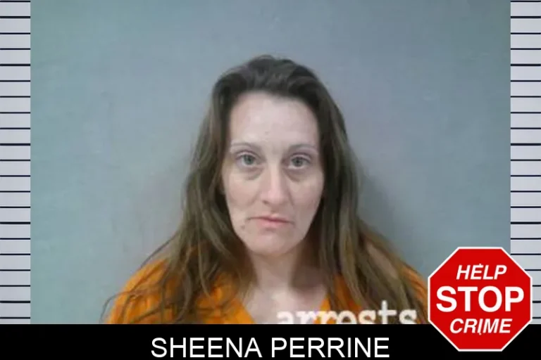Sheena Perrine