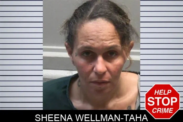 Sheena Wellman-Taha