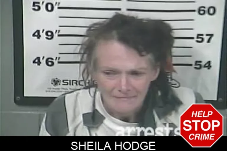 Sheila Hodge