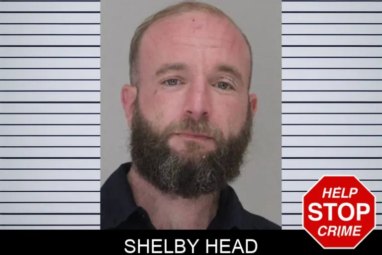Shelby Head