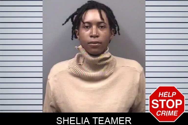Shelia Teamer