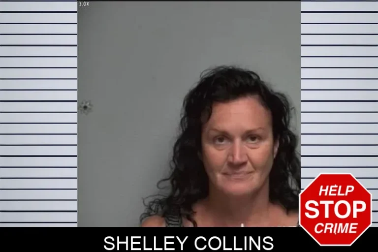 Shelley Collins