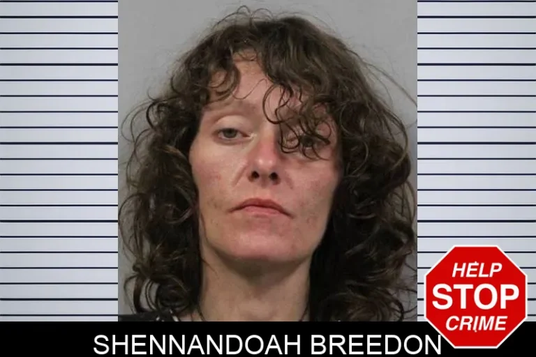 Shennandoah Breedon