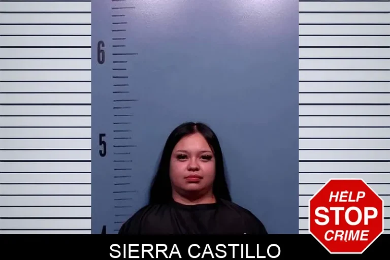 Sierra Castillo