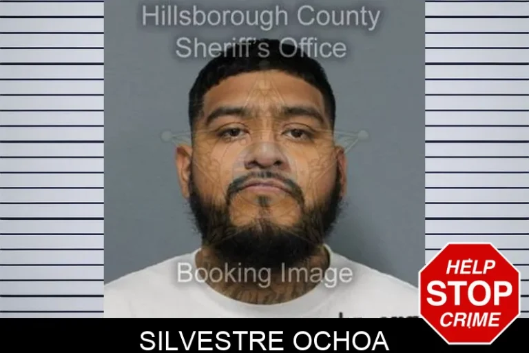 Silvestre Ochoa