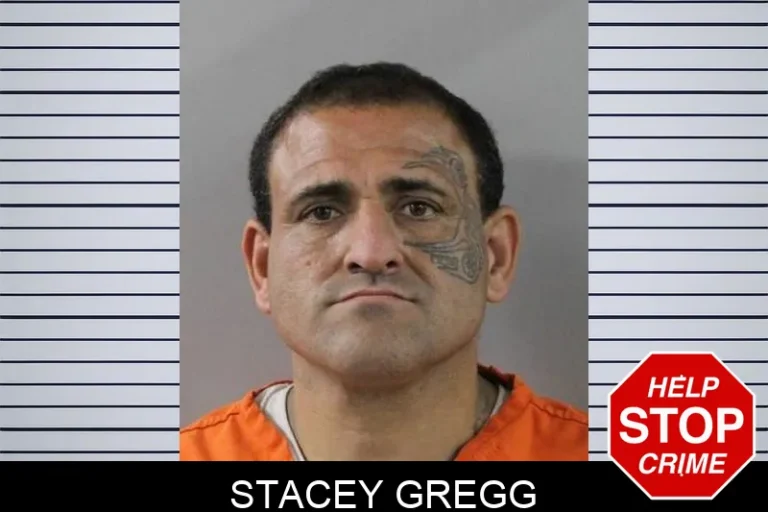 Stacey Gregg
