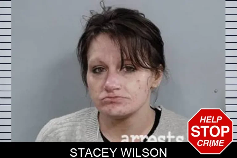 Stacey Wilson