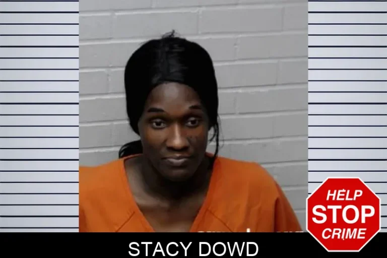 Stacy Dowd
