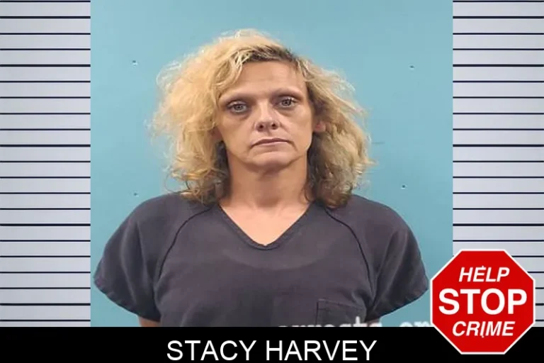 Stacy Harvey