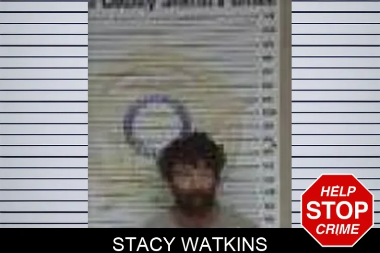 Stacy Watkins